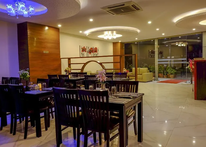 富豪机场酒店 酒店 3*
